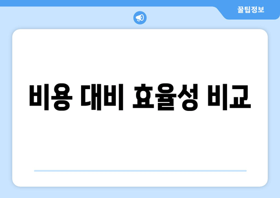 비용 대비 효율성 비교