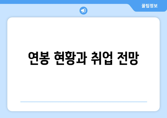 연봉 현황과 취업 전망