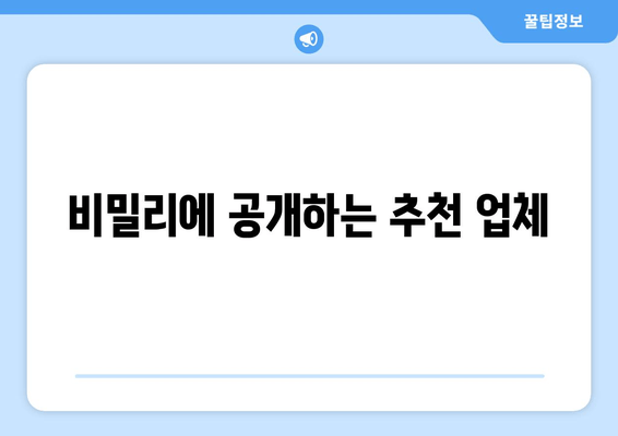 비밀리에 공개하는 추천 업체