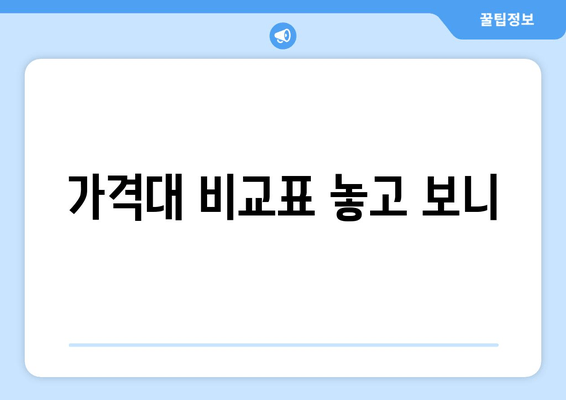 가격대 비교표 놓고 보니