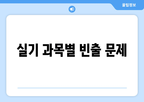 실기 과목별 빈출 문제