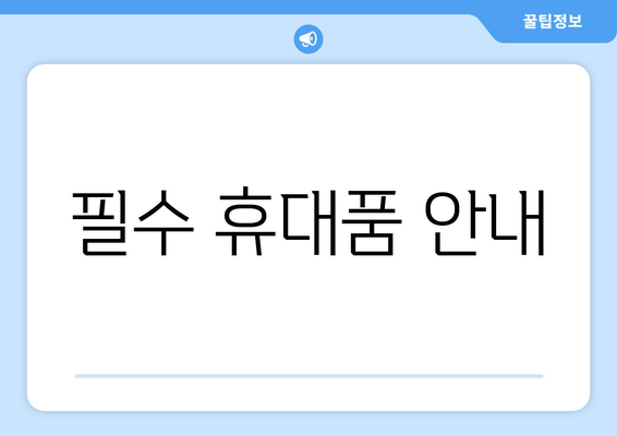 필수 휴대품 안내