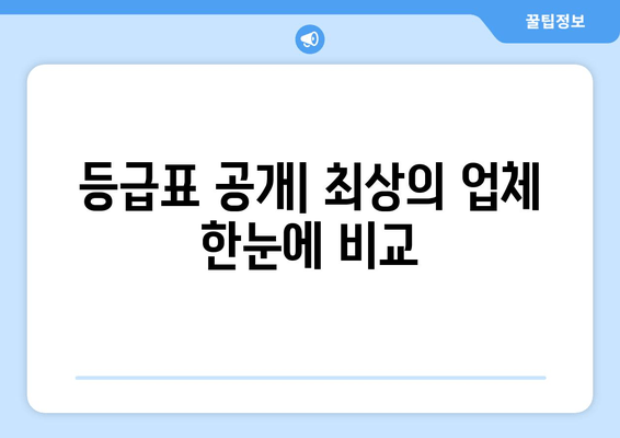 등급표 공개| 최상의 업체 한눈에 비교