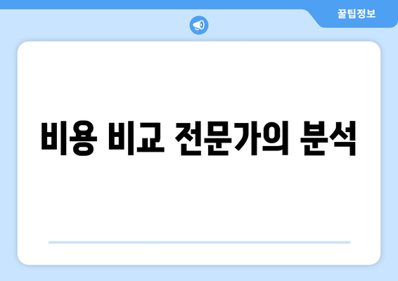 비용 비교 전문가의 분석