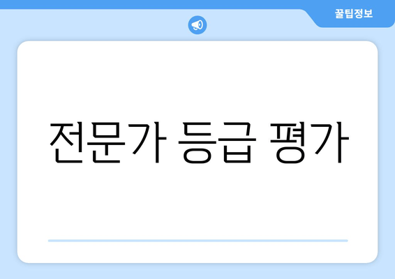 전문가 등급 평가