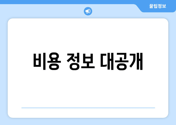 비용 정보 대공개