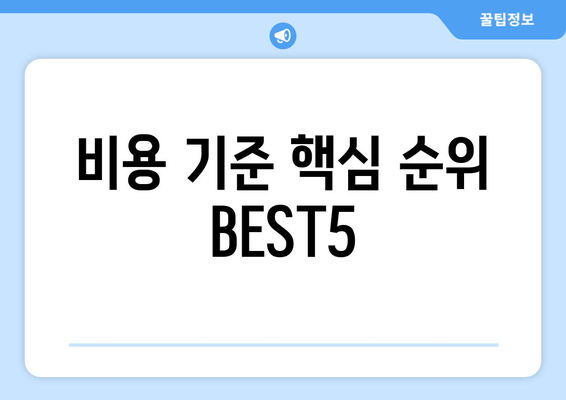 비용 기준 핵심 순위 BEST5