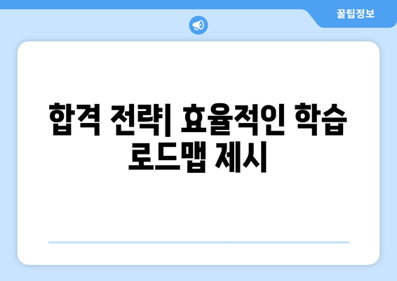 합격 전략| 효율적인 학습 로드맵 제시