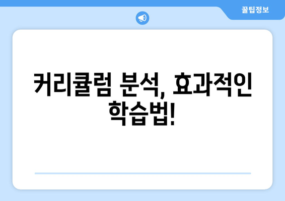 커리큘럼 분석, 효과적인 학습법!