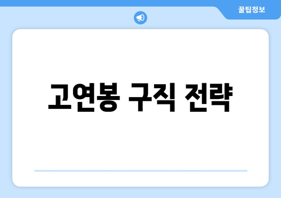 고연봉 구직 전략