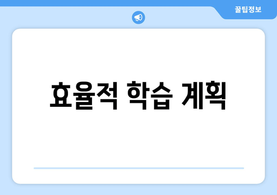 효율적 학습 계획