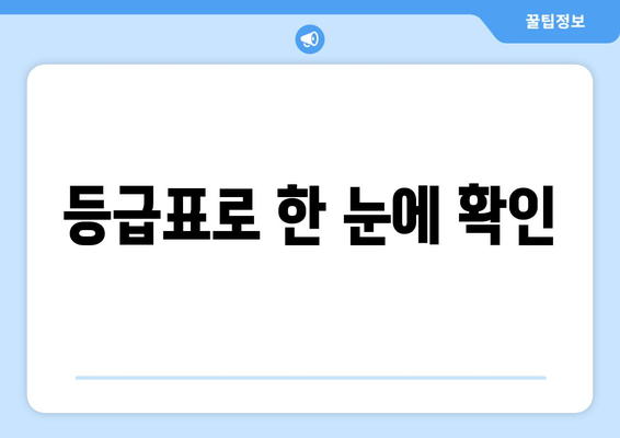 등급표로 한 눈에 확인