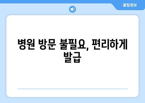 병원 방문 불필요, 편리하게 발급