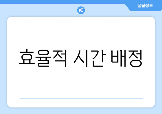 효율적 시간 배정