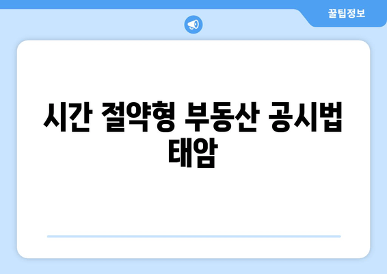 시간 절약형 부동산 공시법 태암