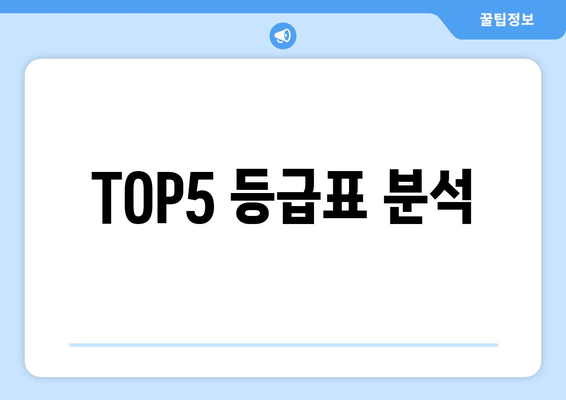 TOP5 등급표 분석