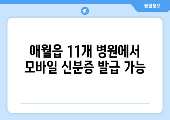 애월읍 11개 병원에서 모바일 신분증 발급 가능