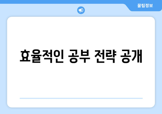 효율적인 공부 전략 공개