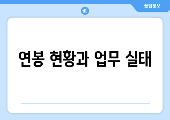 연봉 현황과 업무 실태