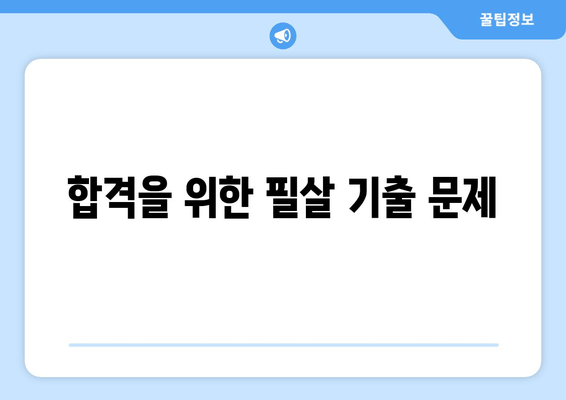 합격을 위한 필살 기출 문제