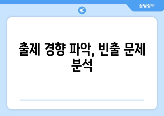 출제 경향 파악, 빈출 문제 분석