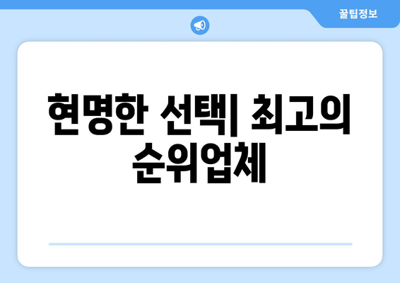현명한 선택| 최고의 순위업체