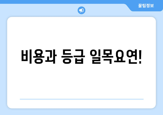 비용과 등급 일목요연!