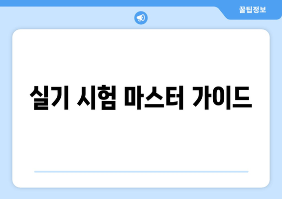 실기 시험 마스터 가이드