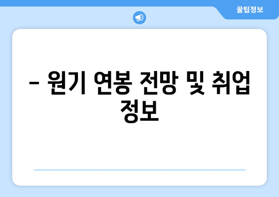 - 원기 연봉 전망 및 취업 정보