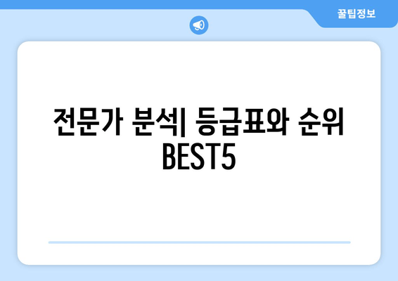 전문가 분석| 등급표와 순위 BEST5