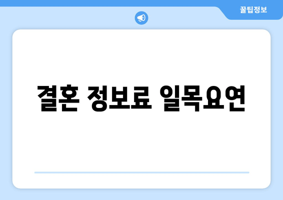 결혼 정보료 일목요연