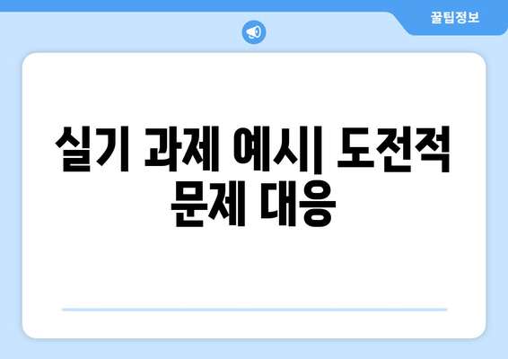 실기 과제 예시| 도전적 문제 대응