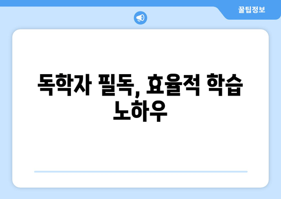 독학자 필독, 효율적 학습 노하우