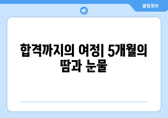 합격까지의 여정| 5개월의 땀과 눈물