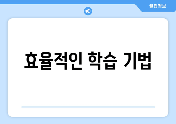 효율적인 학습 기법