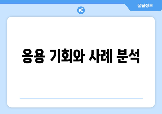 응용 기회와 사례 분석