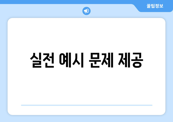 실전 예시 문제 제공