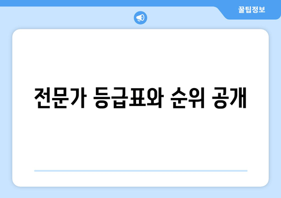 전문가 등급표와 순위 공개