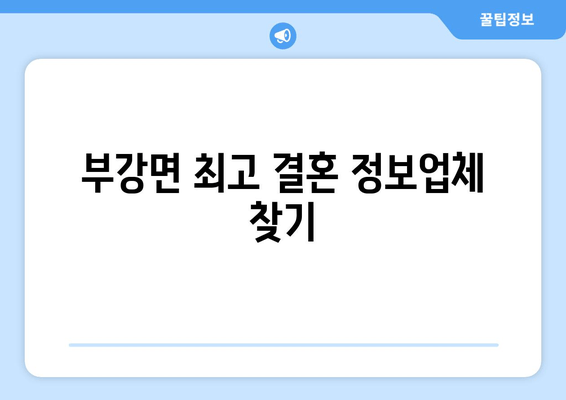 부강면 최고 결혼 정보업체 찾기