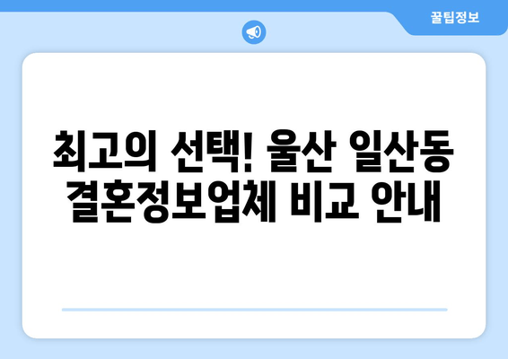 최고의 선택! 울산 일산동 결혼정보업체 비교 안내