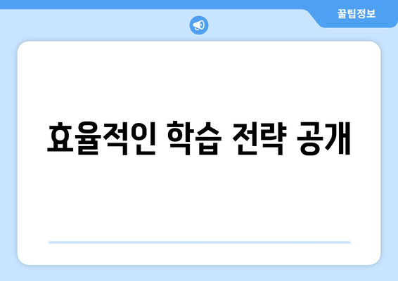 효율적인 학습 전략 공개