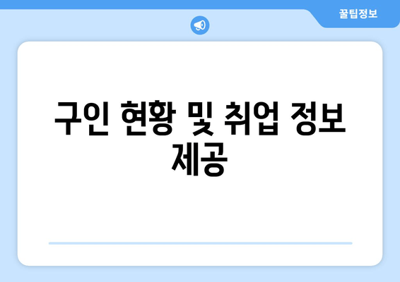 구인 현황 및 취업 정보 제공