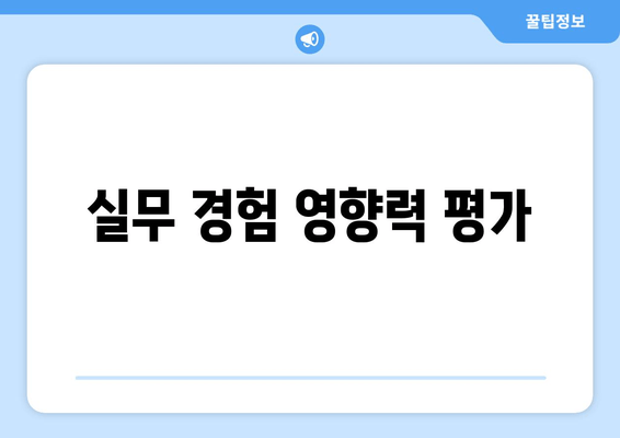 실무 경험 영향력 평가