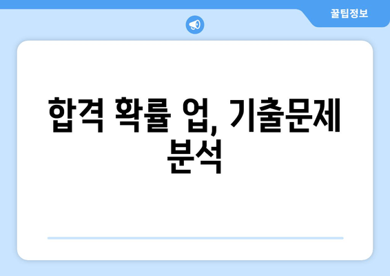 합격 확률 업, 기출문제 분석