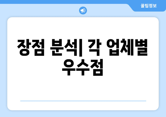 장점 분석| 각 업체별 우수점