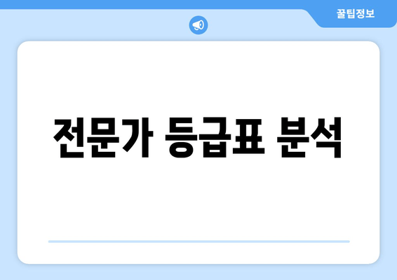 전문가 등급표 분석