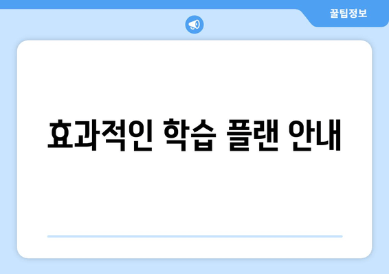 효과적인 학습 플랜 안내