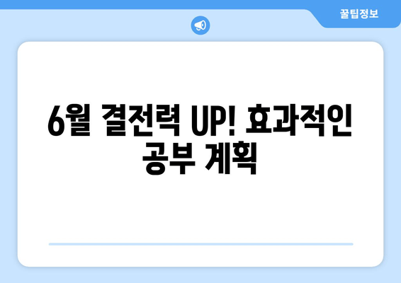 6월 결전력 UP! 효과적인 공부 계획