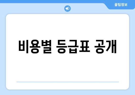 비용별 등급표 공개