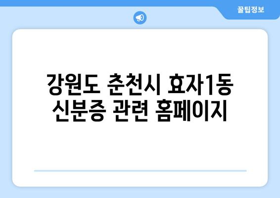 강원도 춘천시 효자1동 신분증 관련 홈페이지